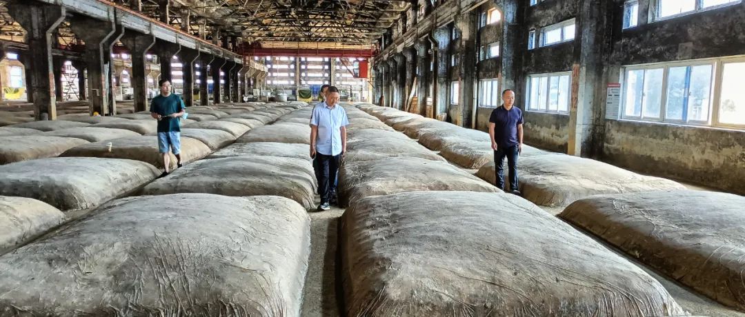 中文字幕乱码亚洲无线三区