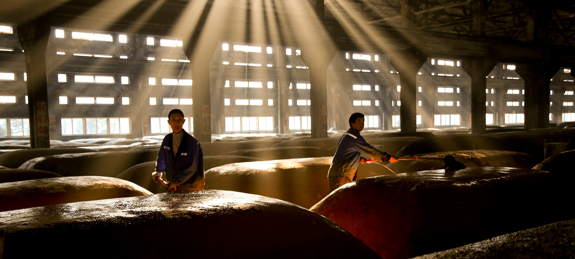 中文字幕乱码亚洲无线三区