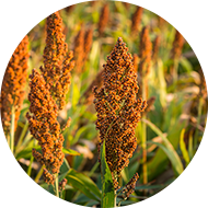 中文字幕乱码亚洲无线三区