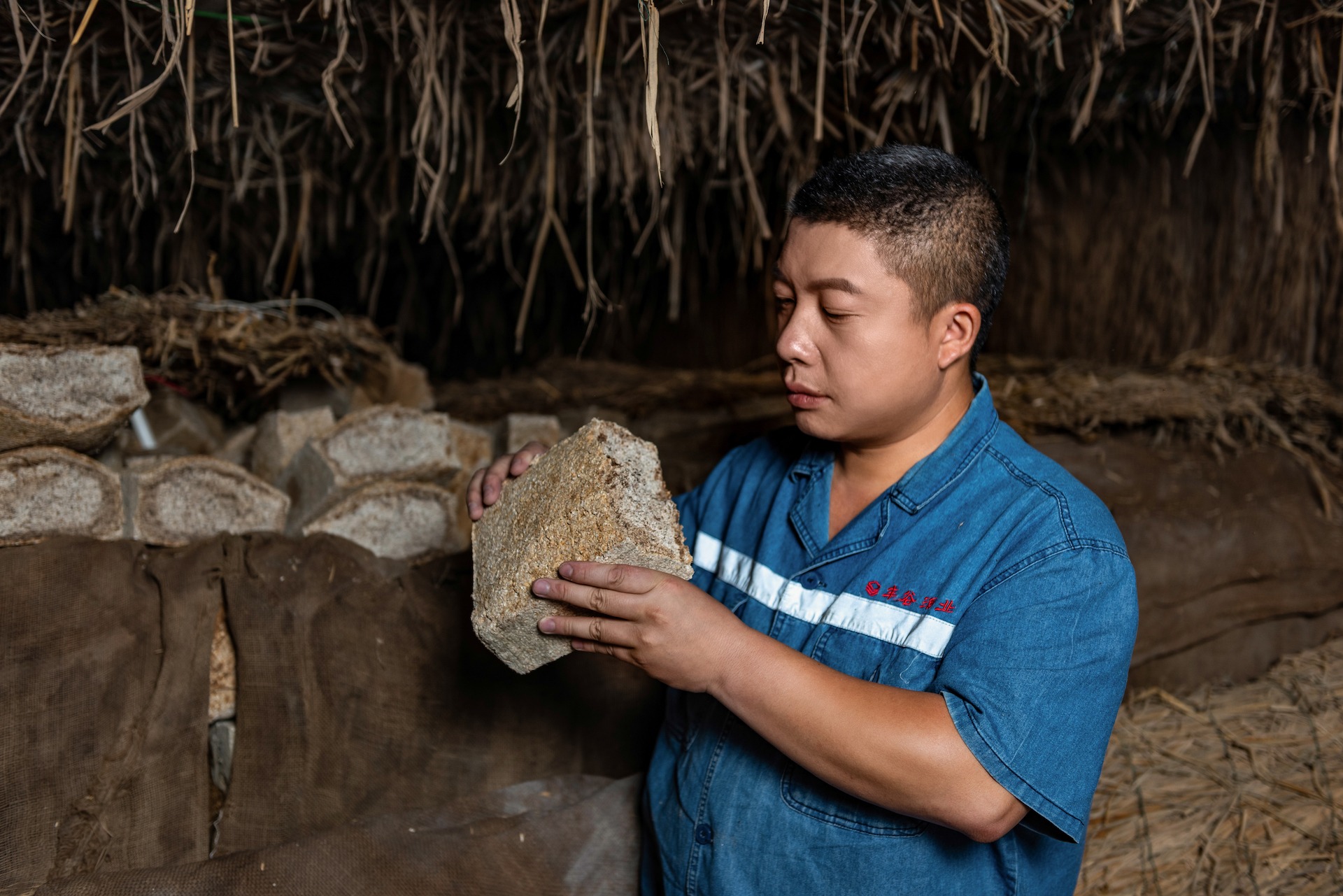 中文字幕乱码亚洲无线三区