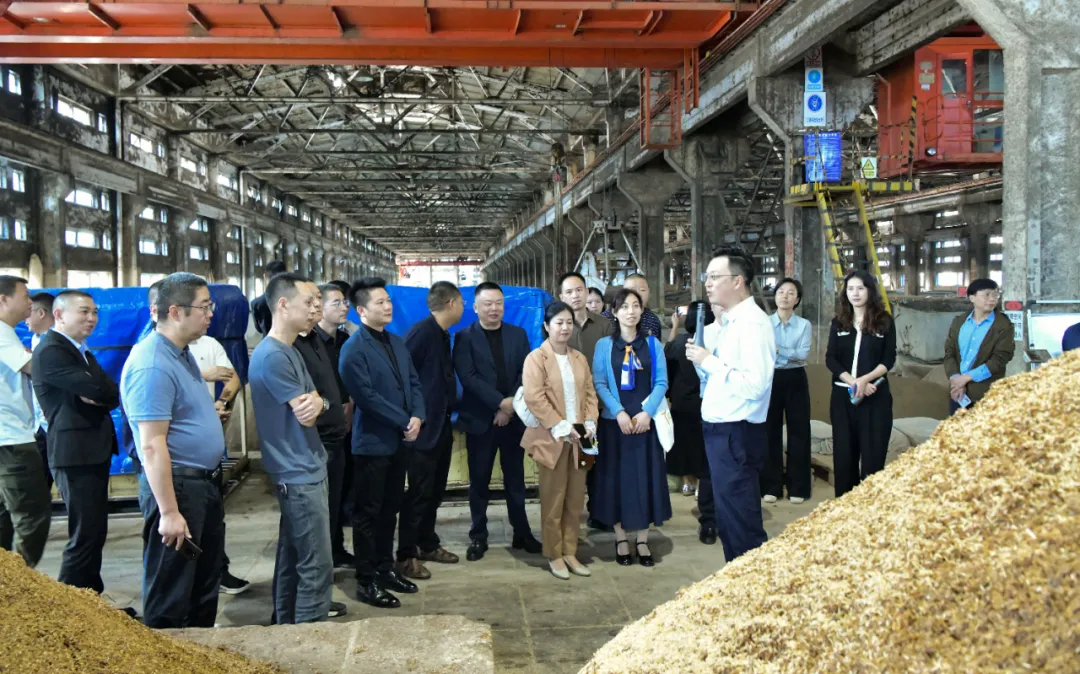 中文字幕乱码亚洲无线三区