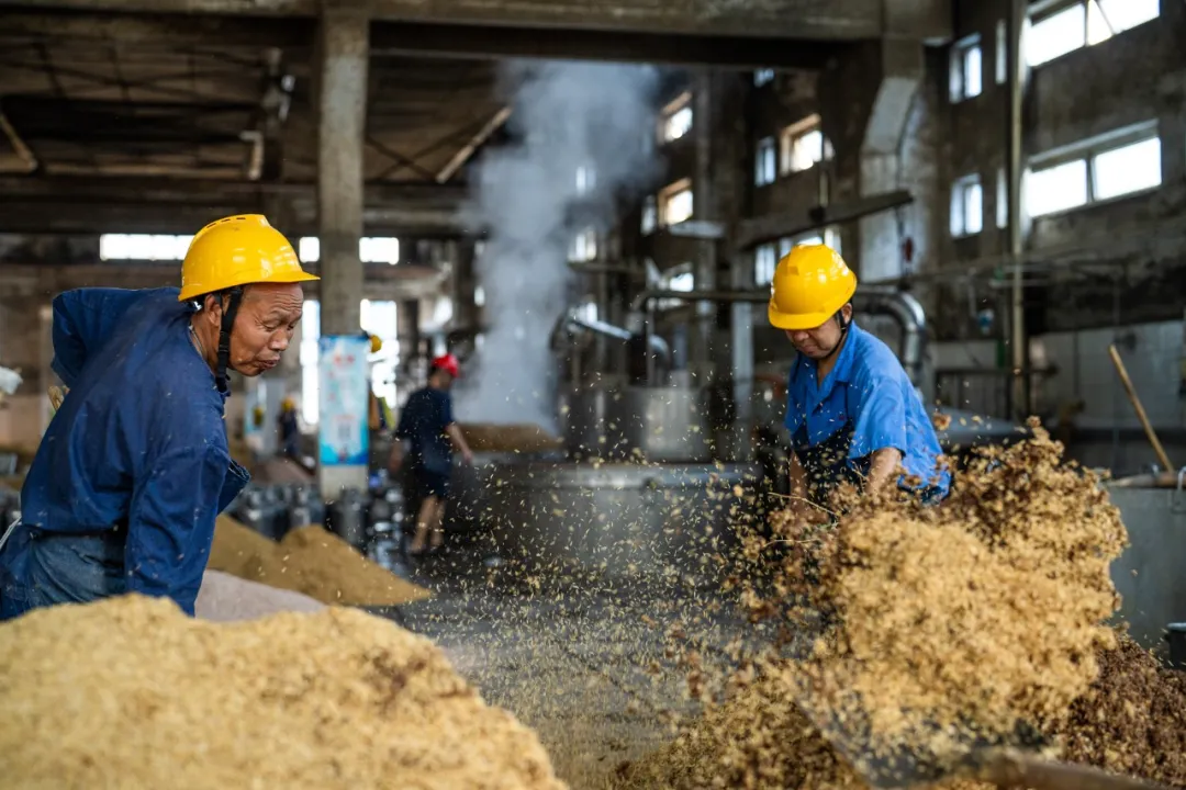中文字幕乱码亚洲无线三区