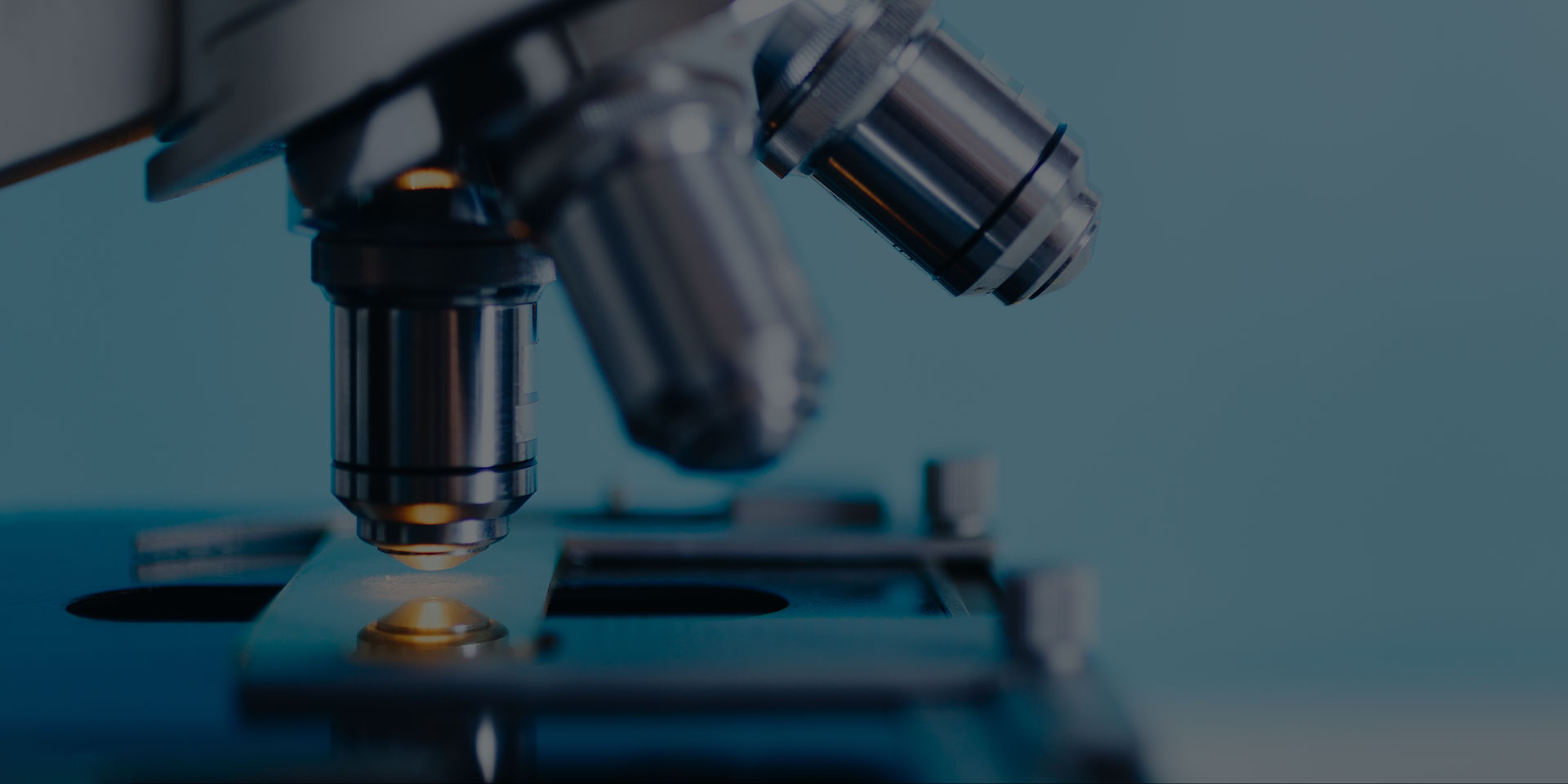 中文字幕乱码亚洲无线三区