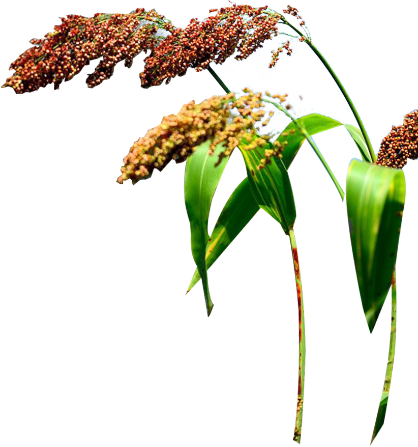 中文字幕乱码亚洲无线三区